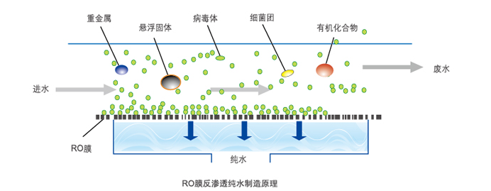 膜工作.png