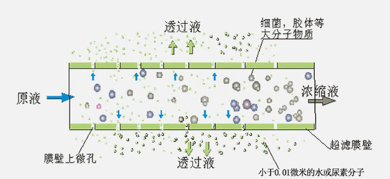 UF示意图.png